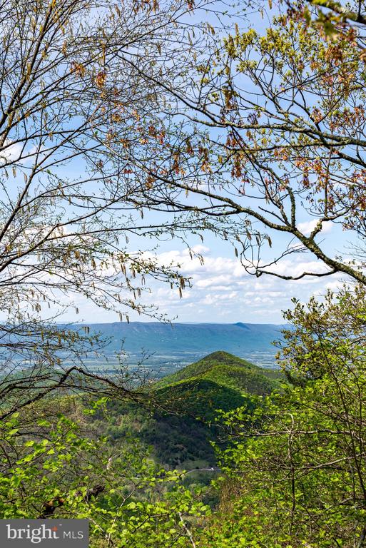 1 CUBBAGE HOLLOW ROAD