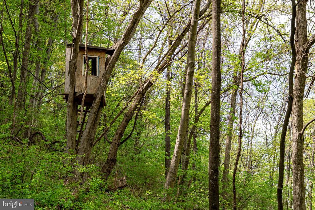 1 CUBBAGE HOLLOW ROAD