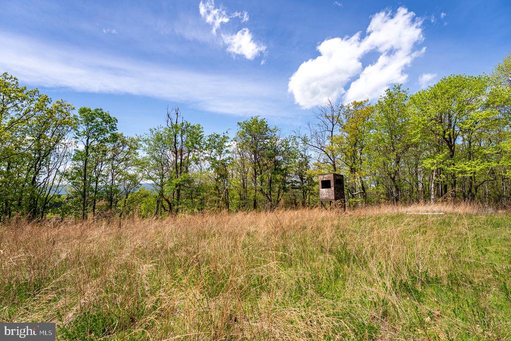 1 CUBBAGE HOLLOW ROAD