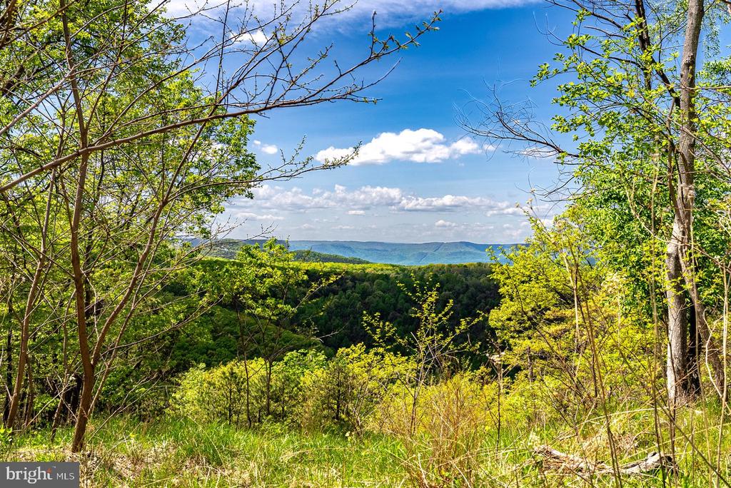 1 CUBBAGE HOLLOW ROAD