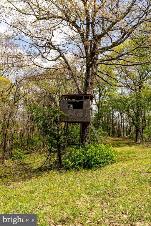 1 CUBBAGE HOLLOW ROAD