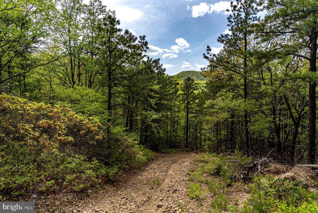 1 CUBBAGE HOLLOW ROAD