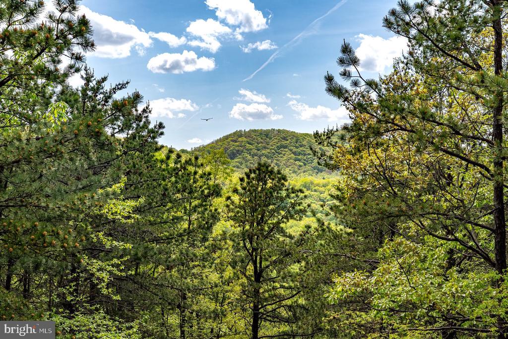 1 CUBBAGE HOLLOW ROAD