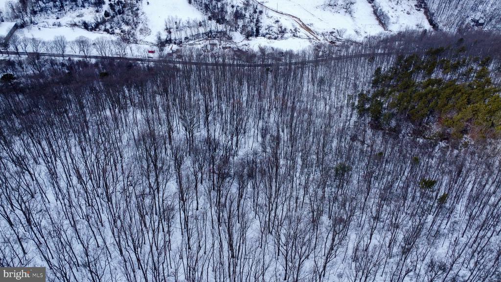 CUBBAGE HOLLOW RD, LOT 75 - 40.55 ACRES