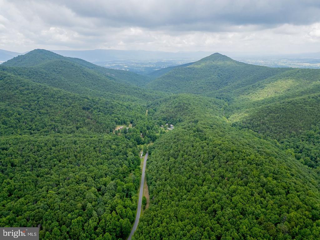 CUBBAGE HOLLOW RD, LOT 75 - 40.55 ACRES
