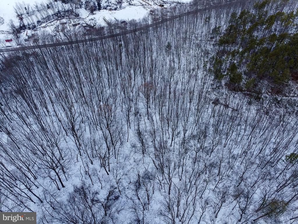 CUBBAGE HOLLOW RD, LOT 75 - 40.55 ACRES