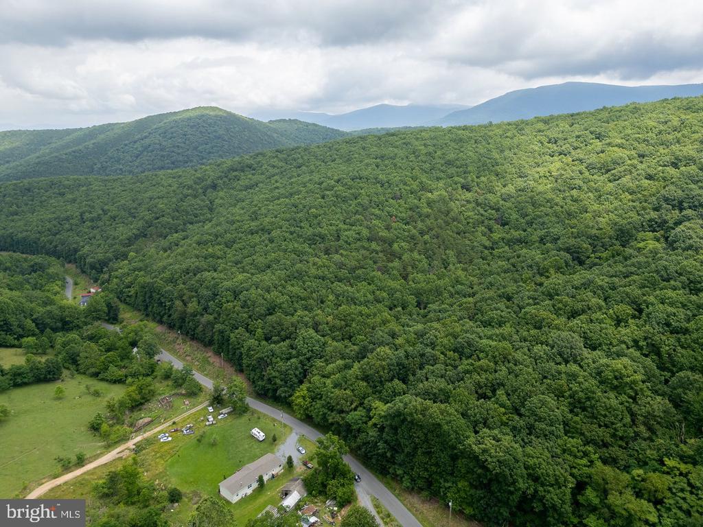 CUBBAGE HOLLOW RD, LOT 75 - 40.55 ACRES