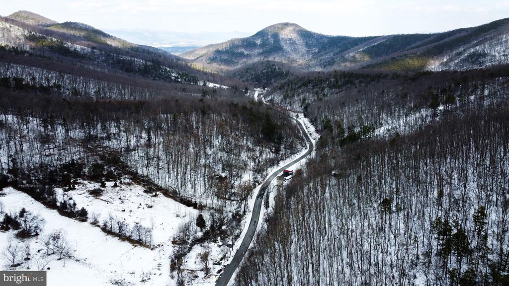 CUBBAGE HOLLOW RD, LOT 75 - 40.55 ACRES