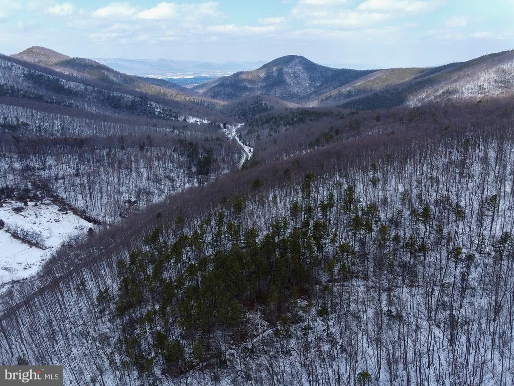 CUBBAGE HOLLOW RD, LOT 75 - 40.55 ACRES