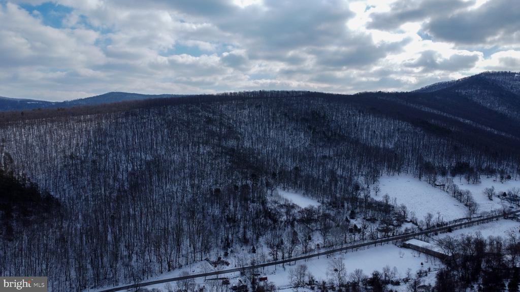 CUBBAGE HOLLOW RD, LOT 75 - 40.55 ACRES