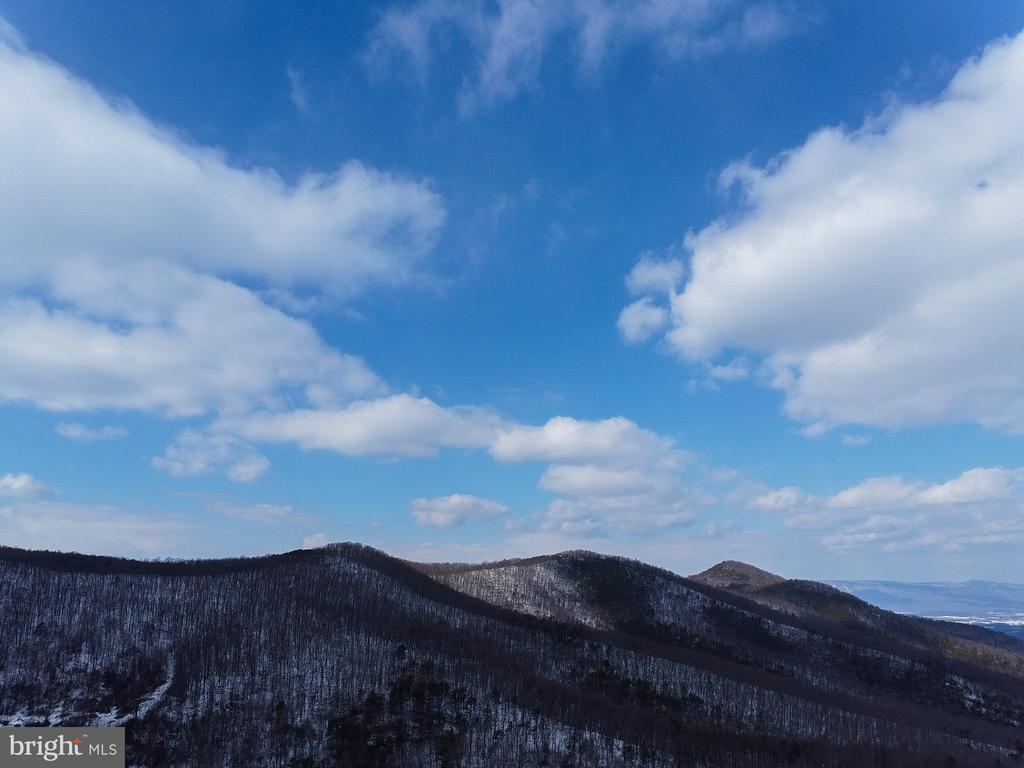 CUBBAGE HOLLOW RD, LOT 75 - 40.55 ACRES