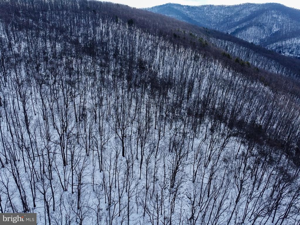 CUBBAGE HOLLOW RD, LOT 75 - 40.55 ACRES