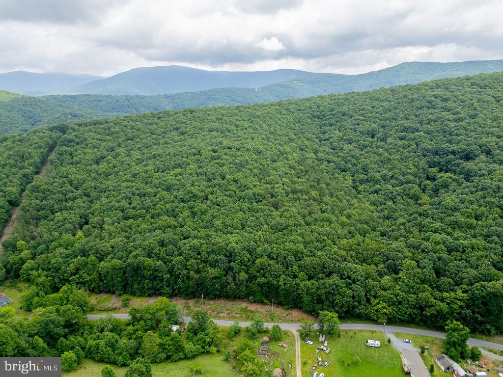 CUBBAGE HOLLOW RD, LOT 75 - 40.55 ACRES