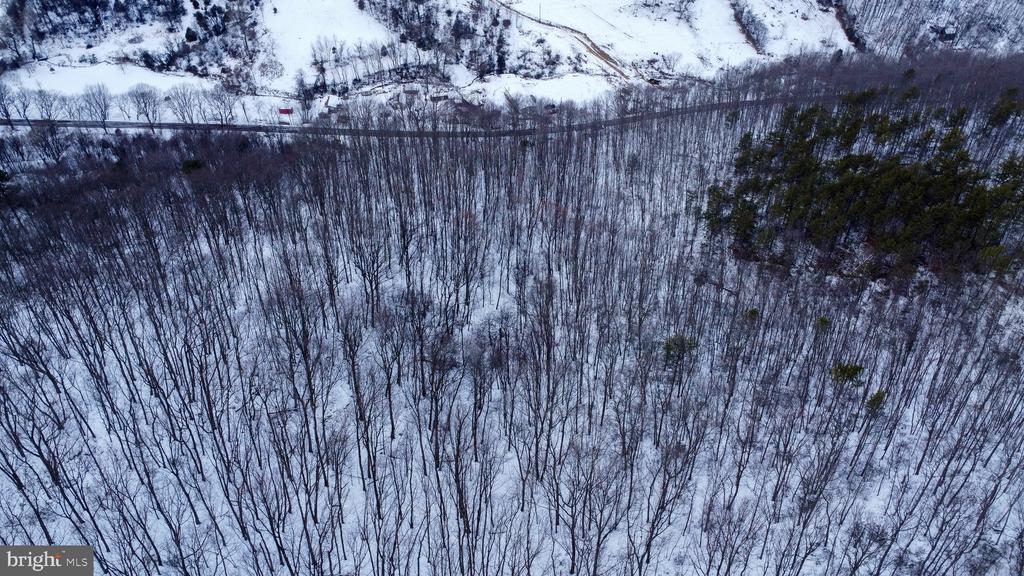 CUBBAGE HOLLOW RD, LOT 75 - 40.55 ACRES