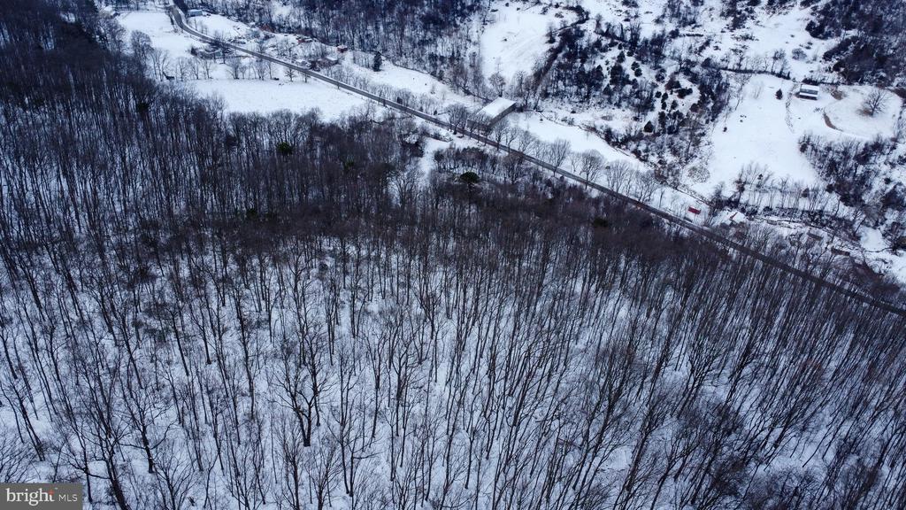 CUBBAGE HOLLOW RD, LOT 75 - 40.55 ACRES