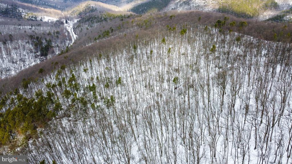 CUBBAGE HOLLOW RD, LOT 75 - 40.55 ACRES