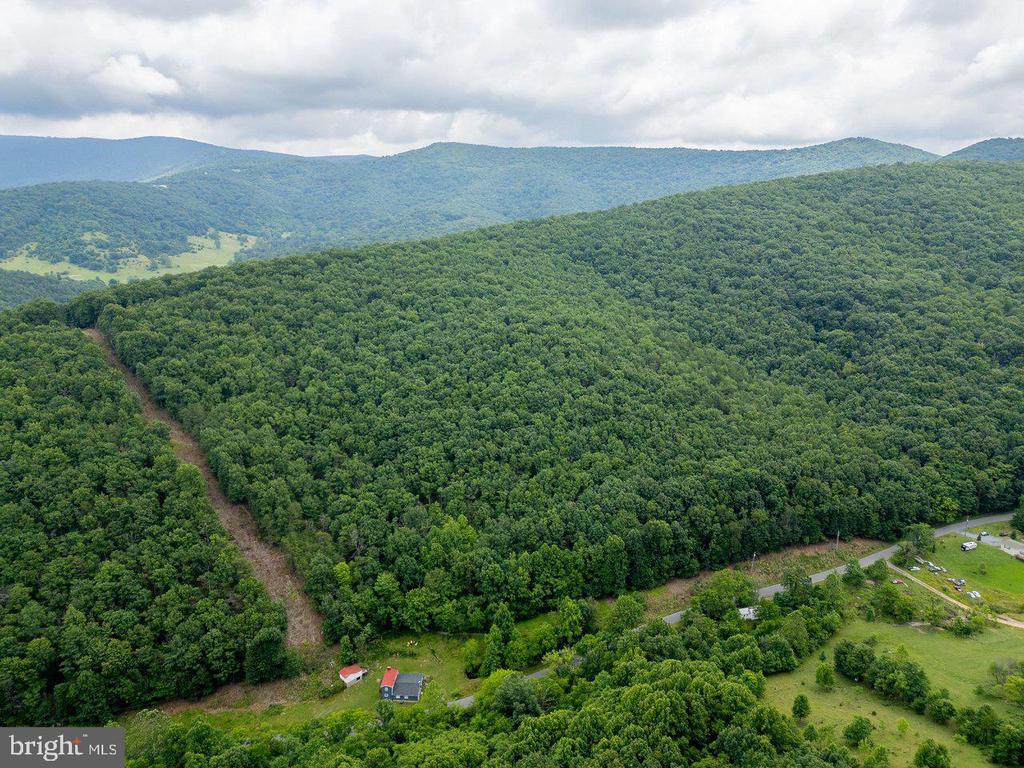 CUBBAGE HOLLOW RD, LOT 75 - 40.55 ACRES