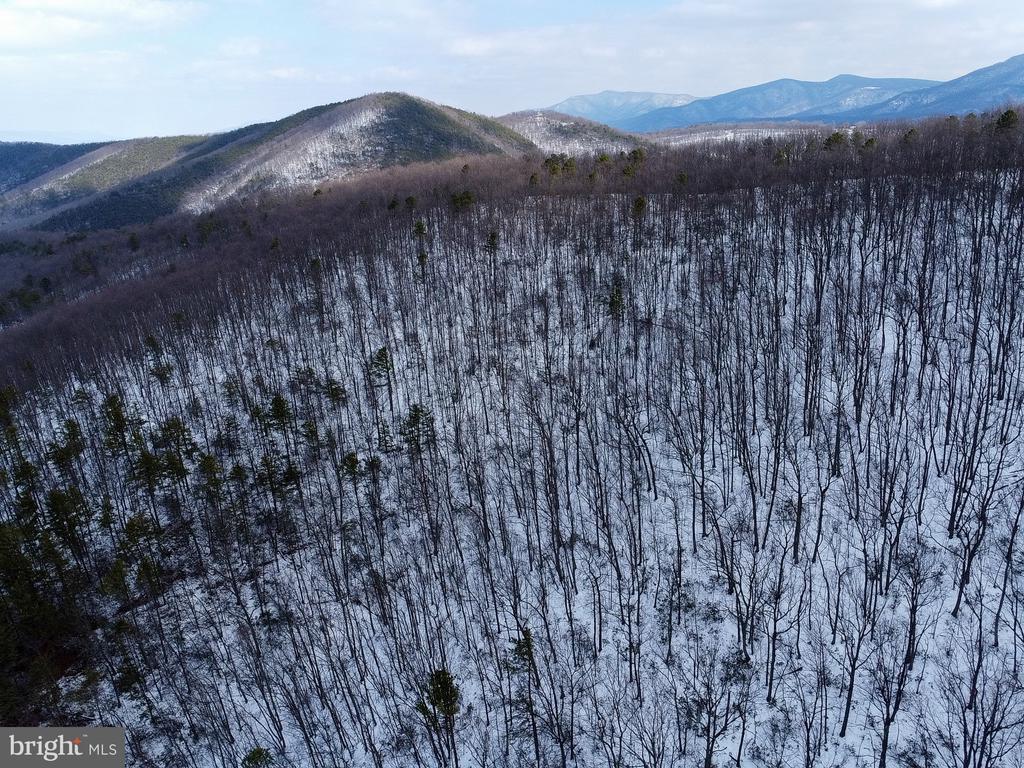 CUBBAGE HOLLOW RD, LOT 75 - 40.55 ACRES