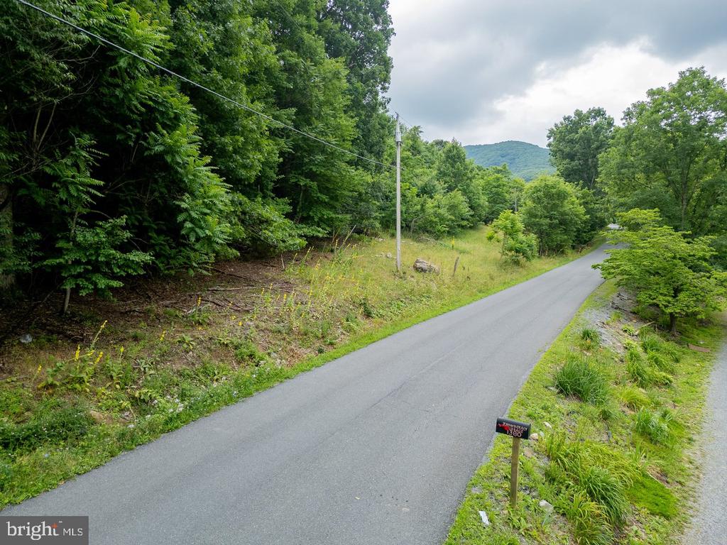 CUBBAGE HOLLOW RD, LOT 75 - 40.55 ACRES