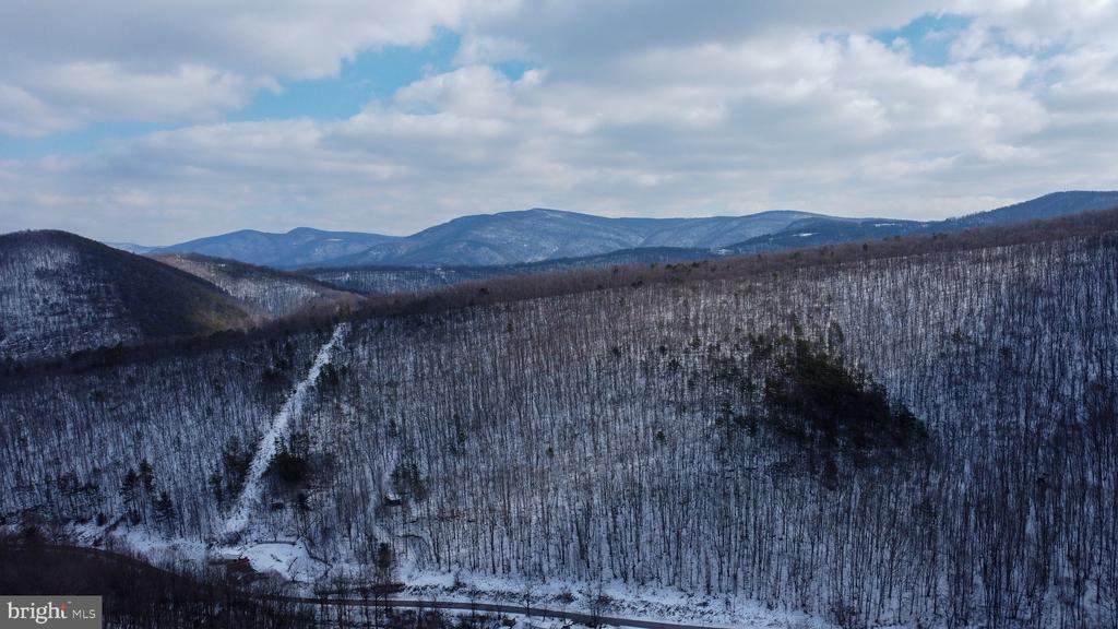 CUBBAGE HOLLOW RD, LOT 75 - 40.55 ACRES