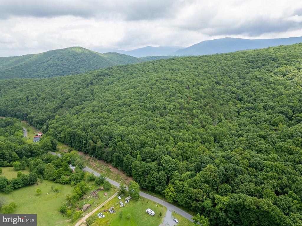 CUBBAGE HOLLOW RD, LOT 75 - 40.55 ACRES