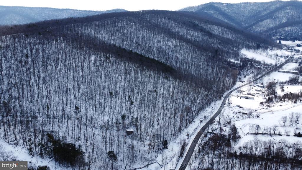 CUBBAGE HOLLOW RD, LOT 75 - 40.55 ACRES