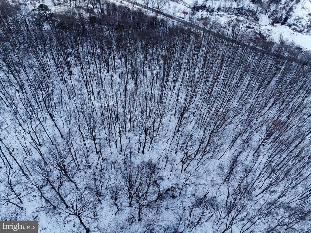 CUBBAGE HOLLOW RD, LOT 75 - 40.55 ACRES