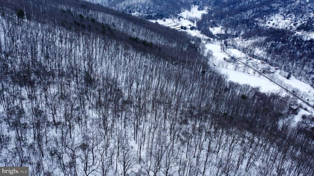 CUBBAGE HOLLOW RD, LOT 75 - 40.55 ACRES