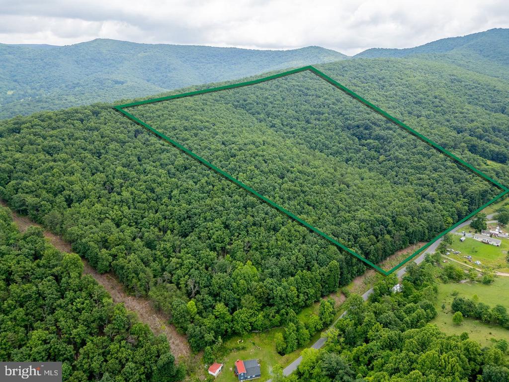 CUBBAGE HOLLOW RD, LOT 75 - 40.55 ACRES
