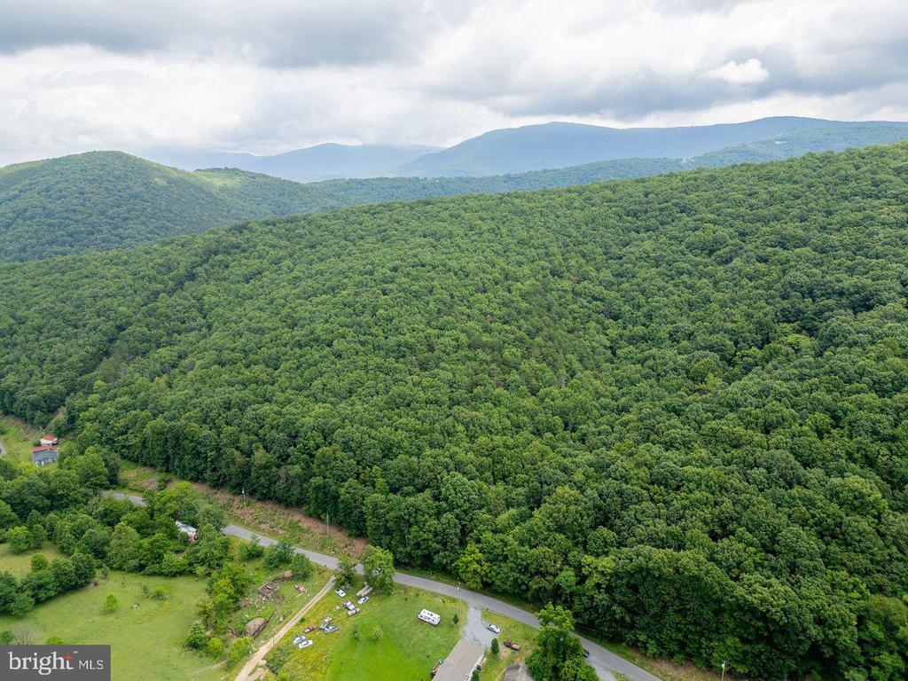 CUBBAGE HOLLOW RD, LOT 75 - 40.55 ACRES