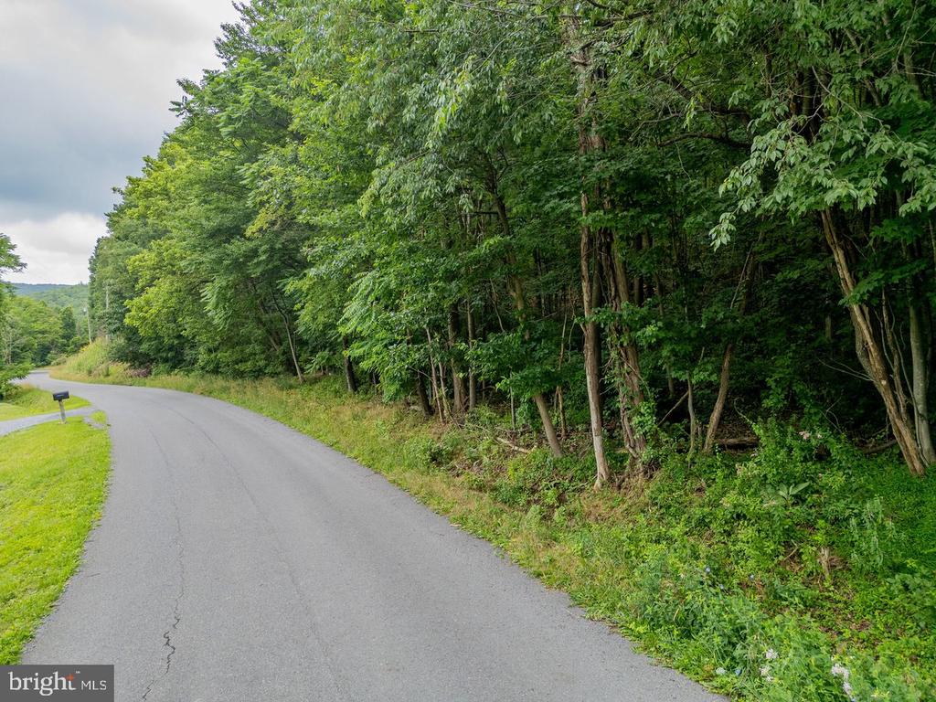 CUBBAGE HOLLOW RD, LOT 75 - 40.55 ACRES