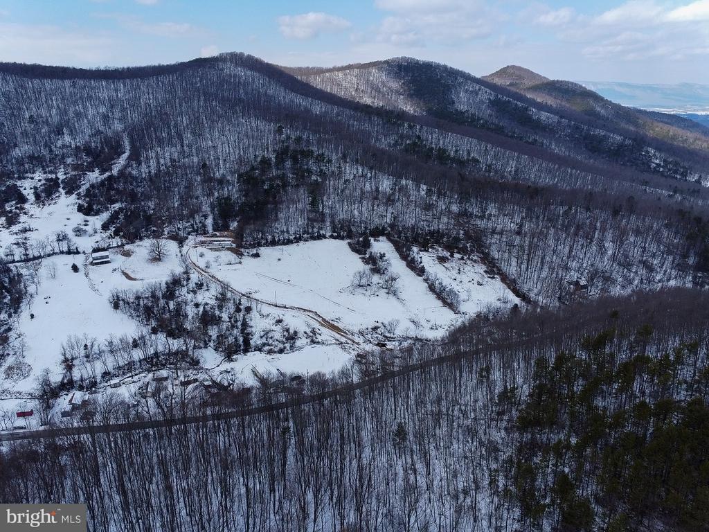 CUBBAGE HOLLOW RD, LOT 75 - 40.55 ACRES