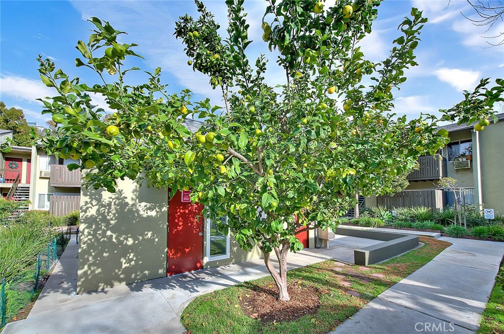 4822 Hollow Corner