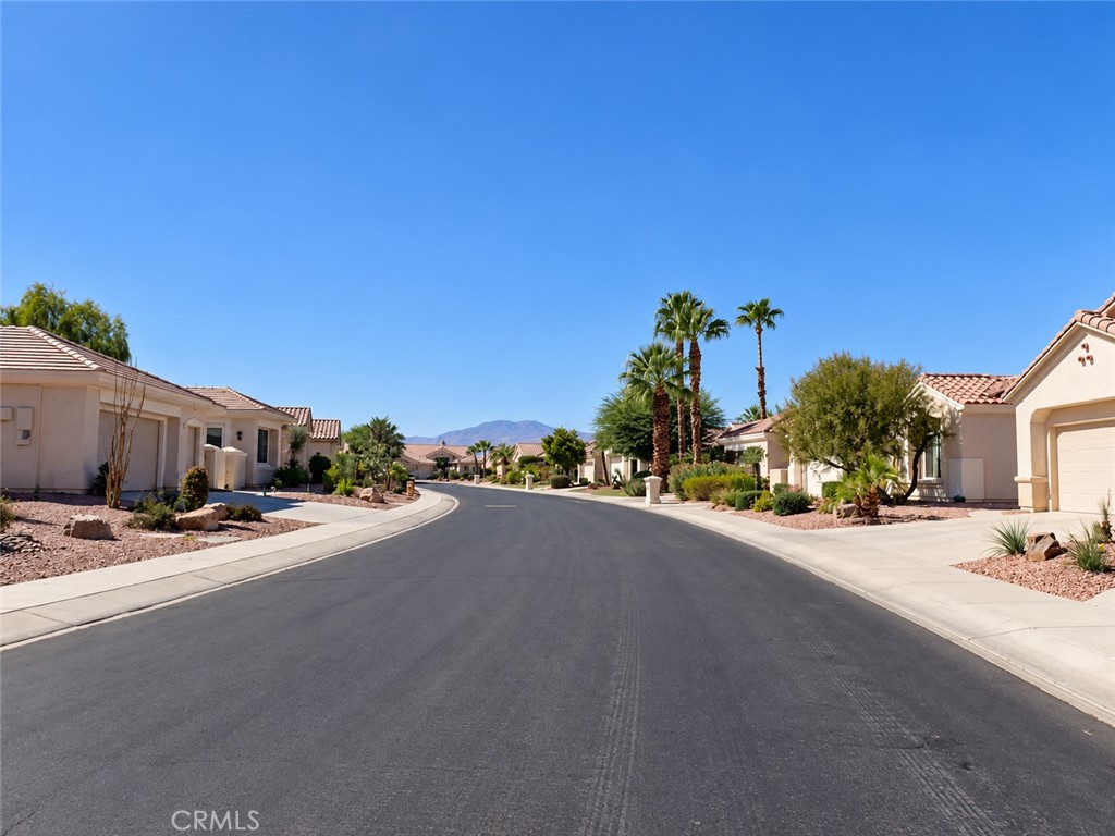 35790 Calloway