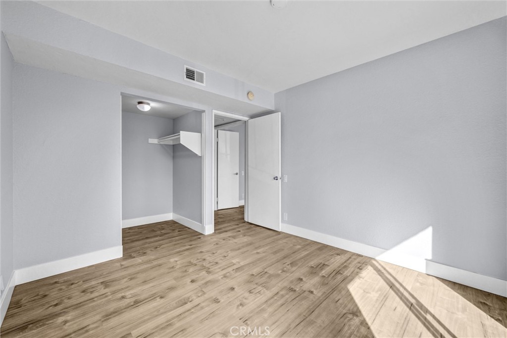 2207 Apricot