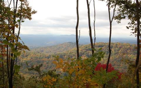 LT 9C Double Knob Road