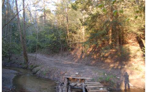 Laurel Creek