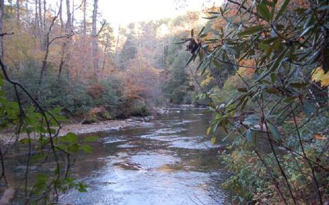 LOT 6 Roaring Forks Lane