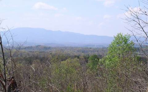 TR 3 Endless View