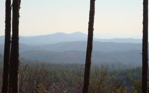 72.2A Off Peeples Lake Rd.