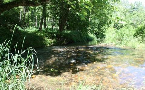 5B Gaults Gulch Road