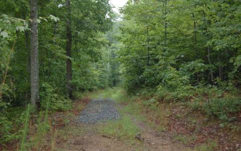 Thomas Mountain Road