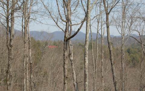 273 Trails End Summit