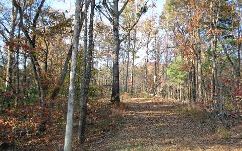 TR 1 Dogwood Court