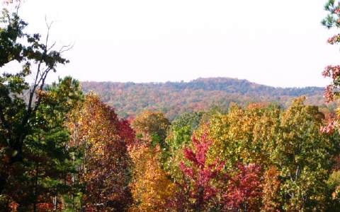 150AC Lakeland Drive