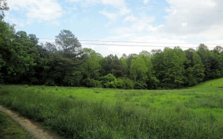 10+AC Old Clear Creek Road