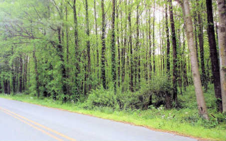 3+AC Old Clear Creek Road