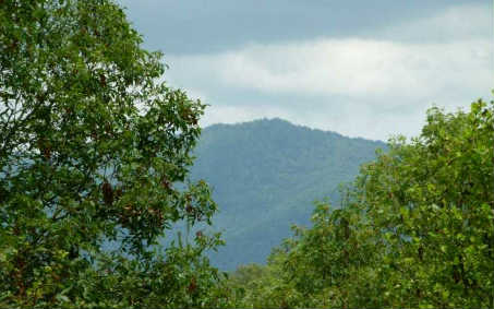 LOT 5 Kontoes Ridge Court
