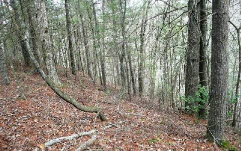 LT 20 Bluffs Of Cartecay