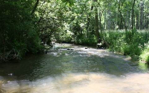 LOT 5A Gaults Gulch Road